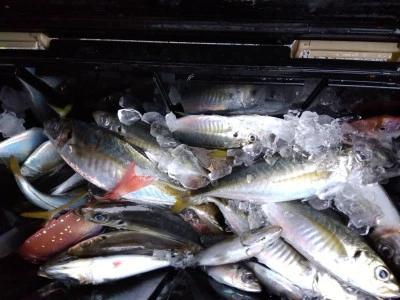 優幸丸の2024年4月22日(月)2枚目の写真