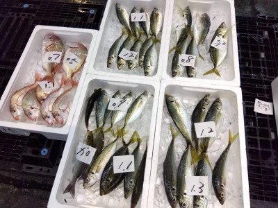 優幸丸の2024年4月22日(月)3枚目の写真