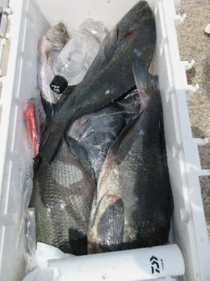 中山総合釣センター・海遊の2024年4月14日(日)2枚目の写真
