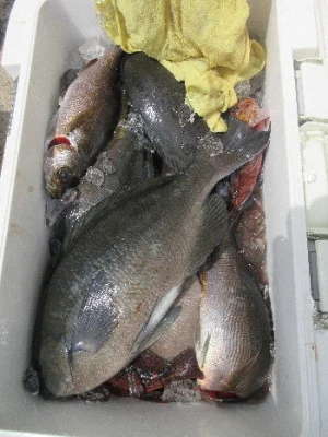 中山総合釣センター・海遊の2024年4月14日(日)3枚目の写真