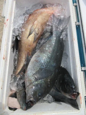 中山総合釣センター・海遊の2024年4月14日(日)4枚目の写真