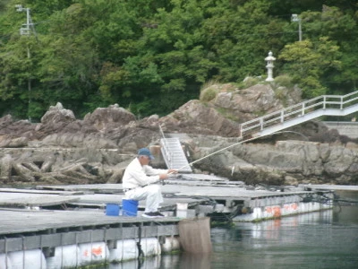 由良海つり公園&釣堀ランドの2024年4月24日(水)1枚目の写真