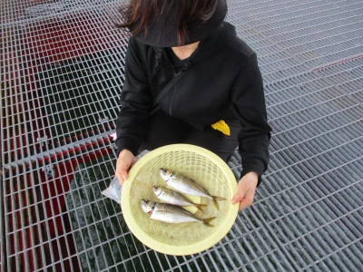 尼崎市立魚つり公園の2024年4月24日(水)3枚目の写真