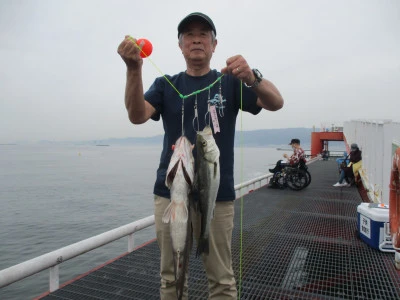 尼崎市立魚つり公園の2024年4月26日(金)1枚目の写真