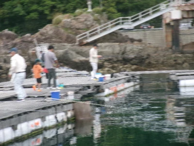由良海つり公園&釣堀ランドの2024年4月26日(金)4枚目の写真