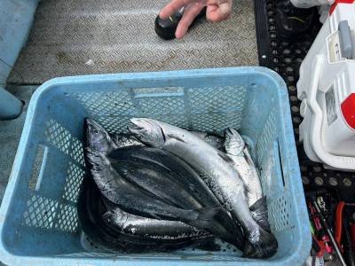 漁恵丸の2024年4月28日(日)3枚目の写真