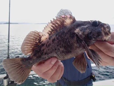 松島シーネットの2024年5月2日(木)4枚目の写真