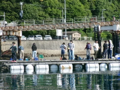 由良海つり公園&釣堀ランドの2024年5月3日(金)3枚目の写真