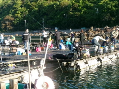 由良海つり公園&釣堀ランドの2024年5月4日(土)3枚目の写真