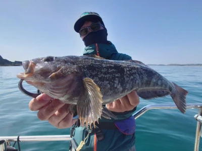 松島シーネットの2024年5月5日(日)2枚目の写真
