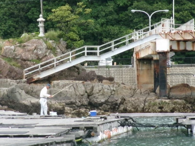 由良海つり公園&釣堀ランドの2024年5月7日(火)1枚目の写真