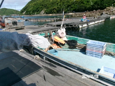 由良海つり公園&釣堀ランドの2024年5月8日(水)1枚目の写真