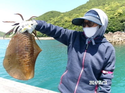 由良海つり公園&釣堀ランドの2024年5月10日(金)1枚目の写真
