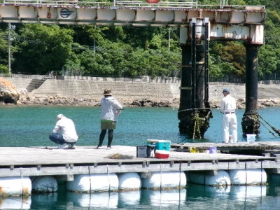 由良海つり公園&釣堀ランドの2024年5月10日(金)3枚目の写真