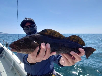 松島シーネットの2024年5月10日(金)1枚目の写真