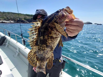 松島シーネットの2024年5月10日(金)2枚目の写真