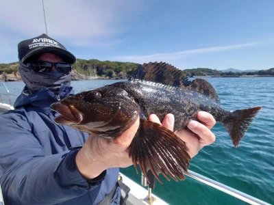 松島シーネットの2024年5月10日(金)3枚目の写真