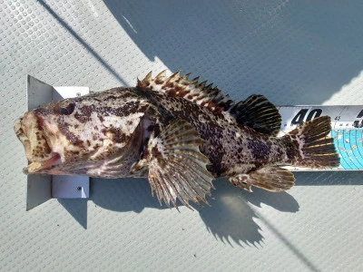 松島シーネットの2024年5月10日(金)5枚目の写真