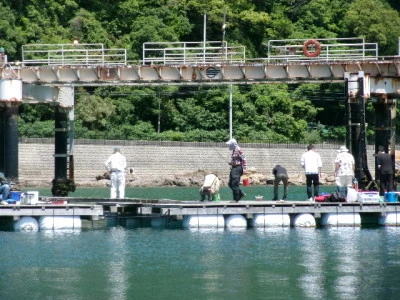 由良海つり公園&釣堀ランドの2024年5月11日(土)2枚目の写真