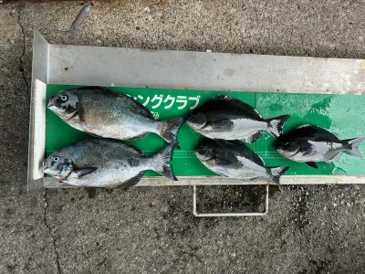 マルヒサ渡船の2024年5月15日(水)1枚目の写真