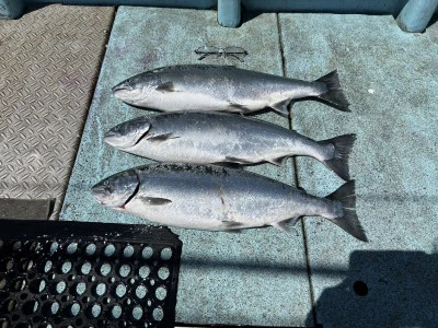 漁恵丸の2024年5月18日(土)2枚目の写真