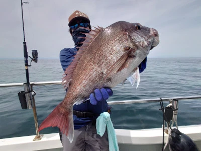 松島シーネットの2024年5月19日(日)1枚目の写真