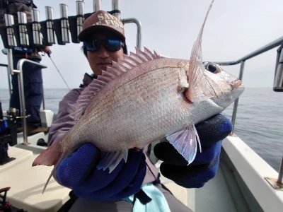 松島シーネットの2024年5月19日(日)4枚目の写真