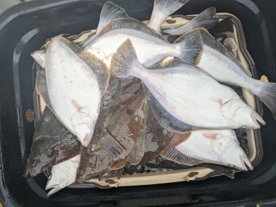 タマリスクの2024年5月30日(木)2枚目の写真