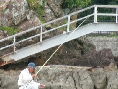 由良海つり公園&釣堀ランドの2024年5月31日(金)1枚目の写真