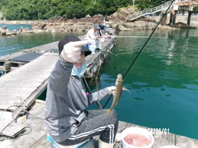 由良海つり公園&釣堀ランドの2024年6月1日(土)3枚目の写真