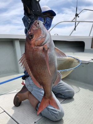 ARCADIA SALTWATER SERVICEの2024年6月1日(土)2枚目の写真