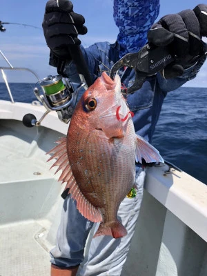 ARCADIA SALTWATER SERVICEの2024年6月1日(土)5枚目の写真