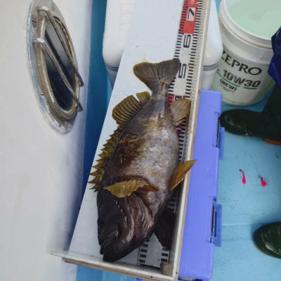 第十八大成丸の2024年6月1日(土)3枚目の写真