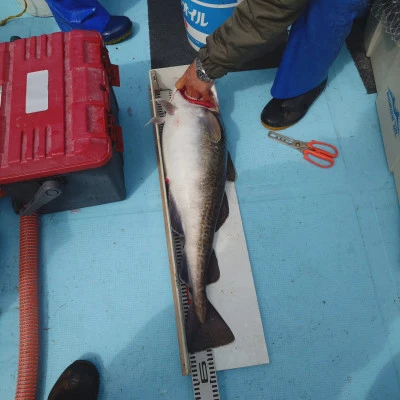 第十八大成丸の2024年6月1日(土)4枚目の写真