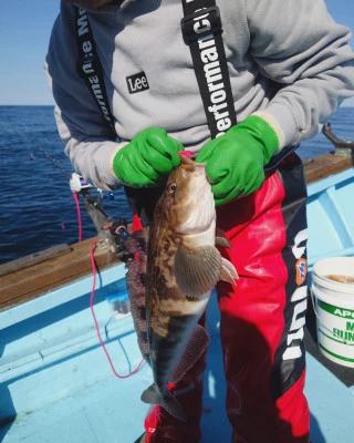 第十八大成丸の2024年6月2日(日)1枚目の写真