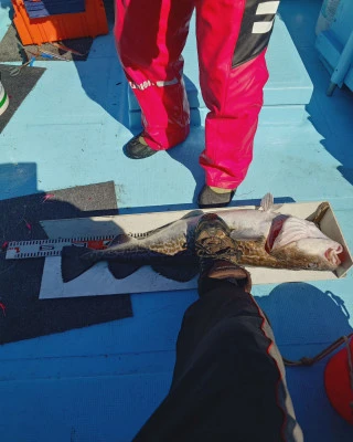 第十八大成丸の2024年6月2日(日)2枚目の写真