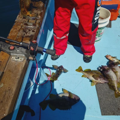第十八大成丸の2024年6月2日(日)3枚目の写真