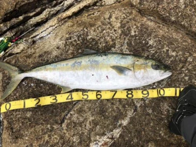 浜吉丸の2024年4月22日(月)4枚目の写真