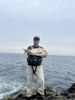 浜吉丸の2024年4月30日(火)3枚目の写真