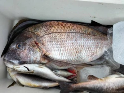 浜吉丸の2024年5月15日(水)4枚目の写真