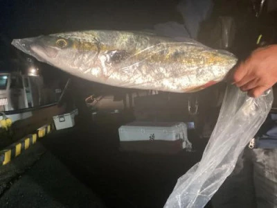 浜吉丸の2024年5月21日(火)3枚目の写真