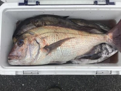 浜吉丸の2024年5月21日(火)4枚目の写真