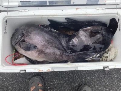 浜吉丸の2024年5月21日(火)5枚目の写真