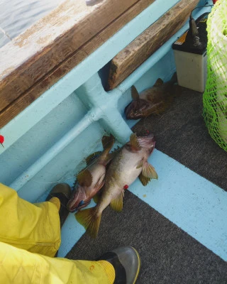 第十八大成丸の2024年6月8日(土)4枚目の写真