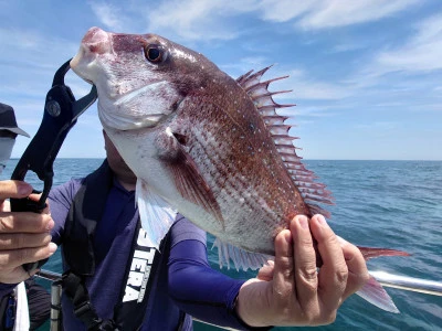 松島シーネットの2024年6月8日(土)4枚目の写真