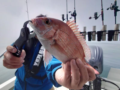 松島シーネットの2024年6月8日(土)5枚目の写真