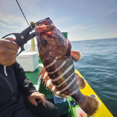 豊丸の2024年6月8日(土)3枚目の写真