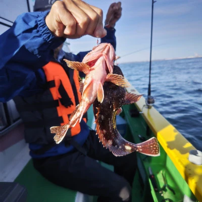 豊丸の2024年6月8日(土)4枚目の写真
