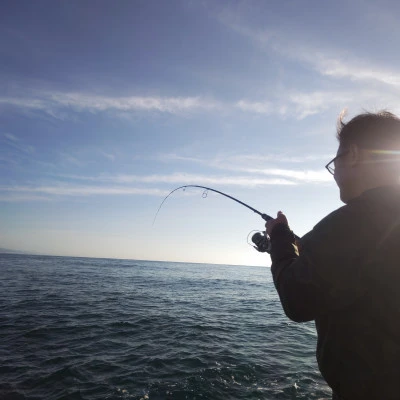 豊丸の2024年6月8日(土)5枚目の写真