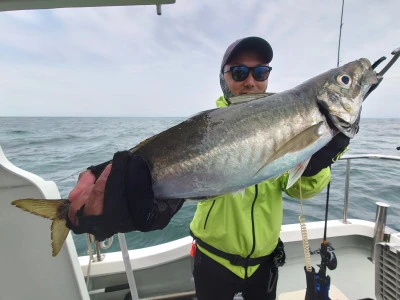 松島シーネットの2024年6月9日(日)1枚目の写真